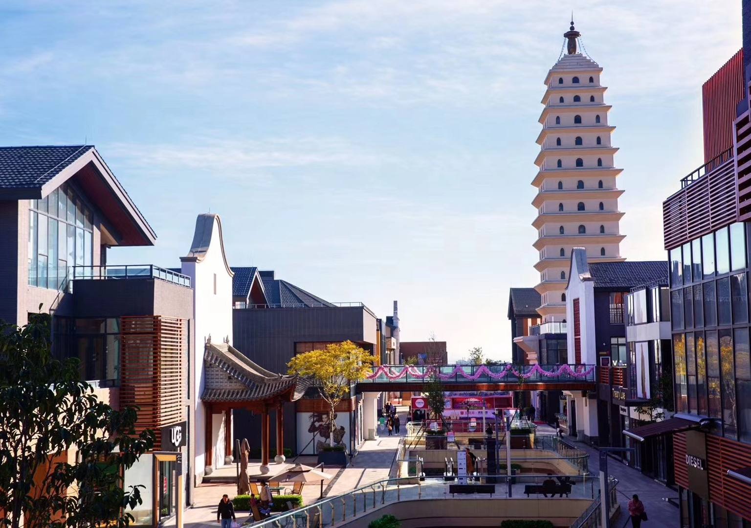 16907746760800223821538_1080